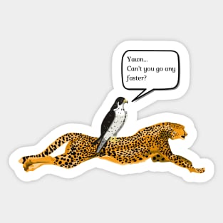 Fast & Faster: the Cheetah & the Peregrine falcon Sticker